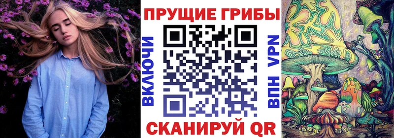 Псилоцибиновые грибы Psilocybine cubensis  купить   Россошь 