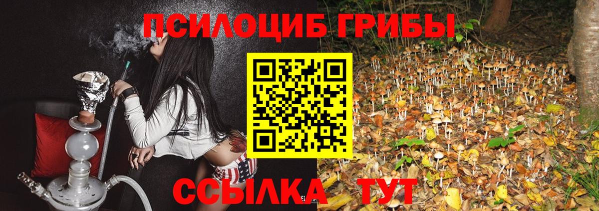 Галлюциногенные грибы мухоморы  Галлюциногенные грибы мицелий  купить наркотик  Россошь  Вход с VPN 