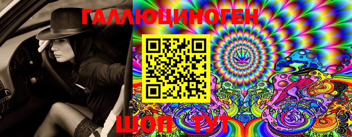 Псилоцибиновые грибы Psilocybine cubensis Россошь