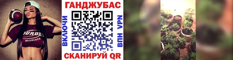 Бошки марихуана план Россошь
